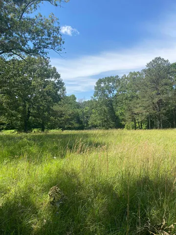 a view of a lake with a yard