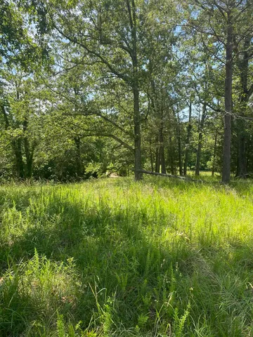 a view of outdoor space with deck and yard