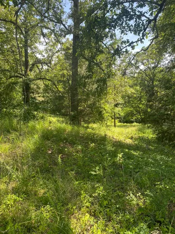 a backyard of a house with lots of trees