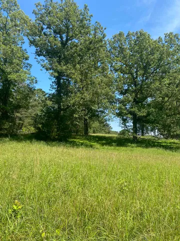 a view of a green yard