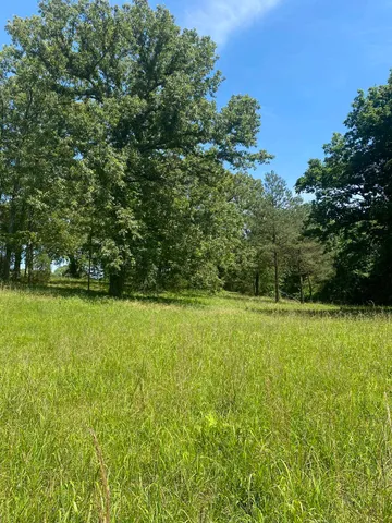 a view of a yard with trees