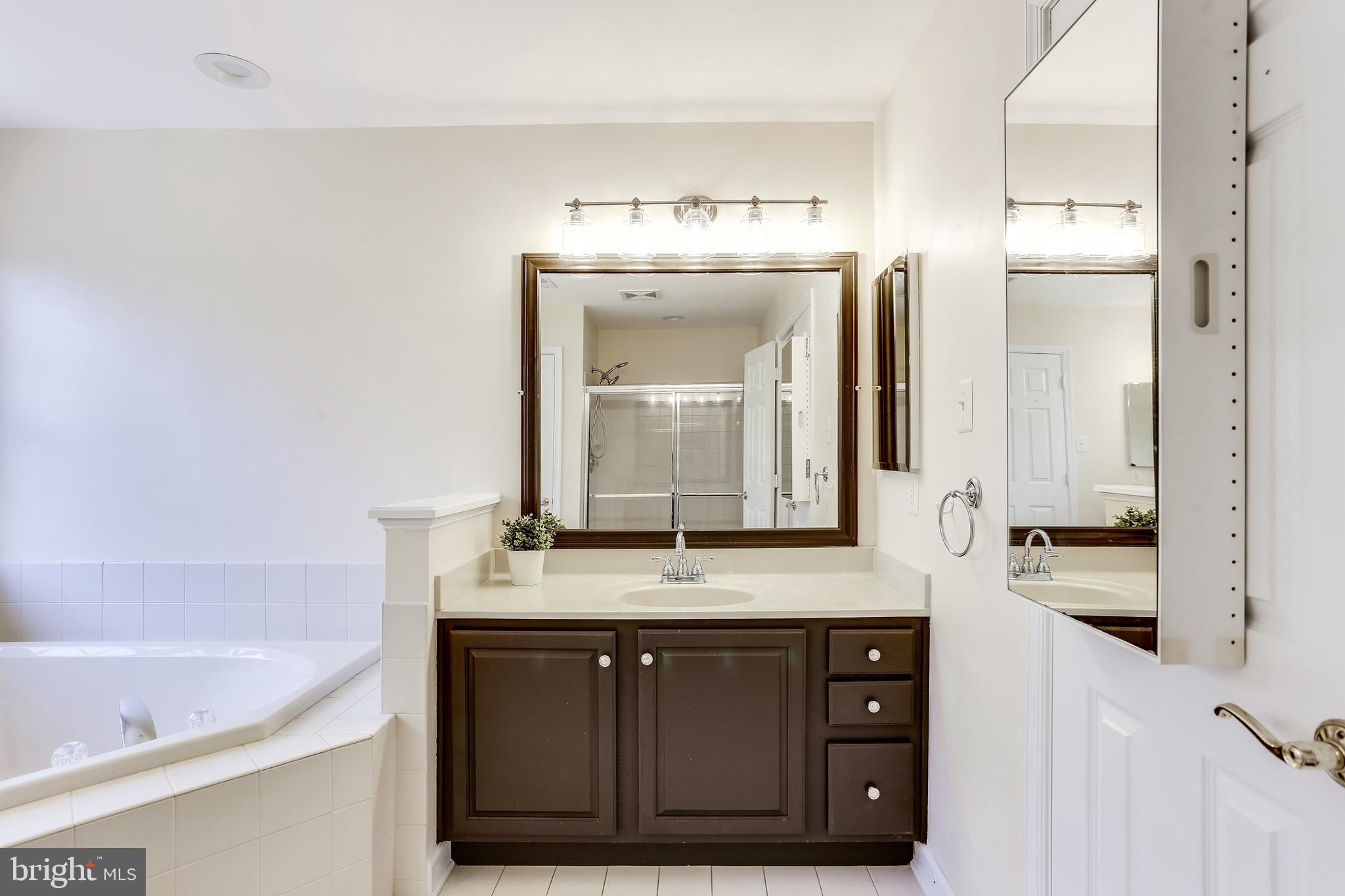 1101 Longbow Road Mount Airy, MD 21771 - Photo 24 of 53 Owners suite 2nd vanity