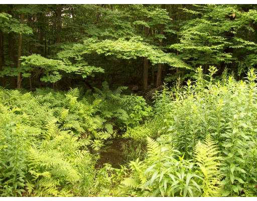 779 Main Road Granville, MA 01034 - Photo 10 of 10 Gallery Image 10