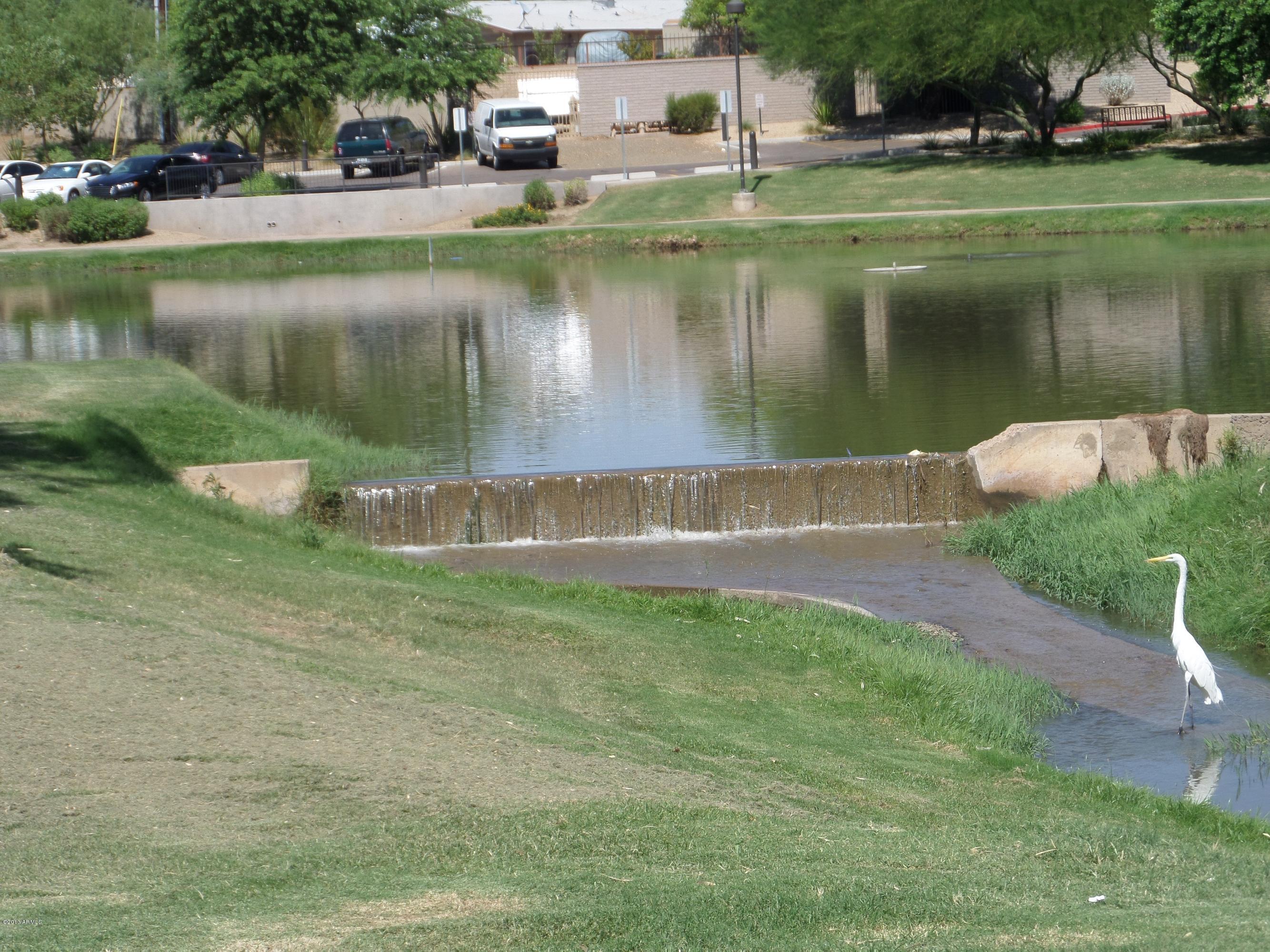 303 North Miller Road, Unit 1011 Scottsdale, AZ 85257 - Photo 24 of 24 Vista del Camino Park