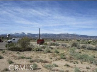9757 Lebec Road Phelan, CA 92371 - Photo 9 of 10 a view of a dry yard with trees