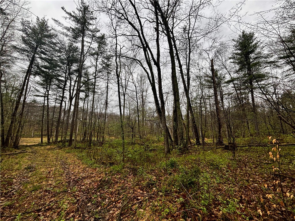2093 Scott Road Erwin, NY 14858 - Photo 29 of 36 Gallery Image 29