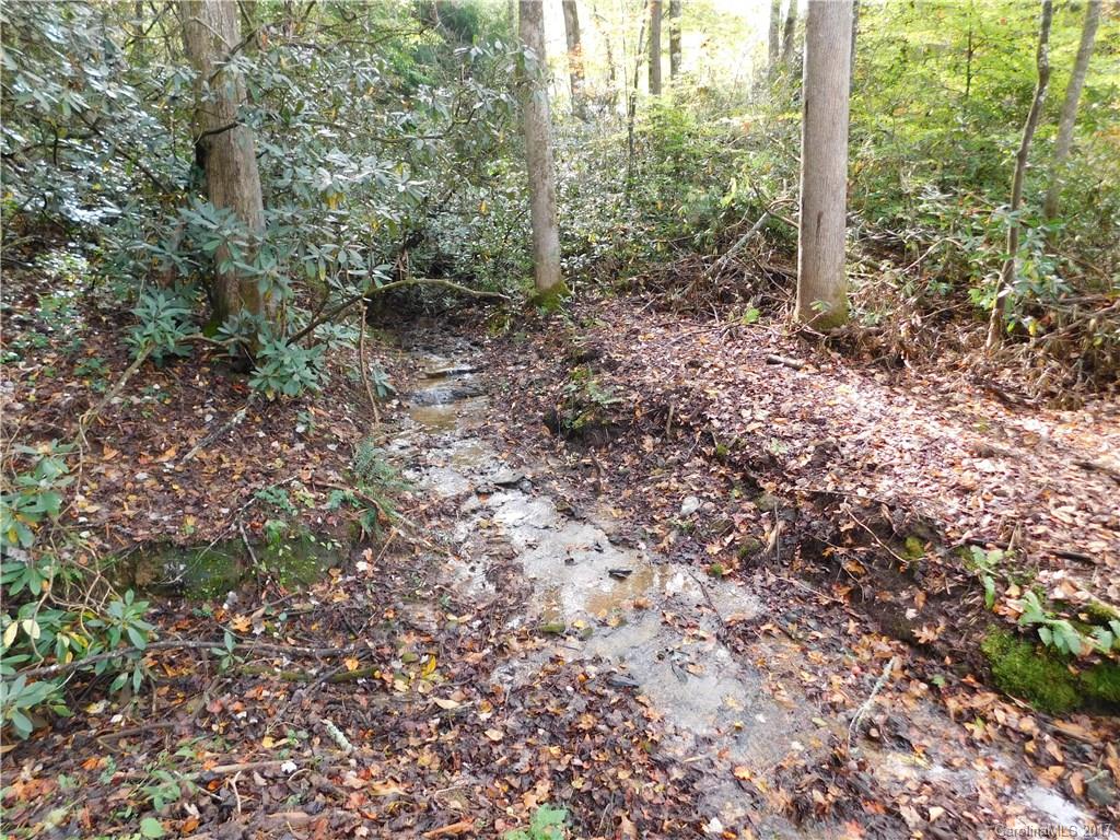 34 Middle Ridge Road Brevard, NC 28712 - Photo 4 of 15 Gallery Image 4