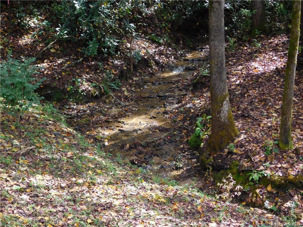 34 Middle Ridge Road Brevard, NC 28712 - Photo 6 of 15 Gallery Image 6