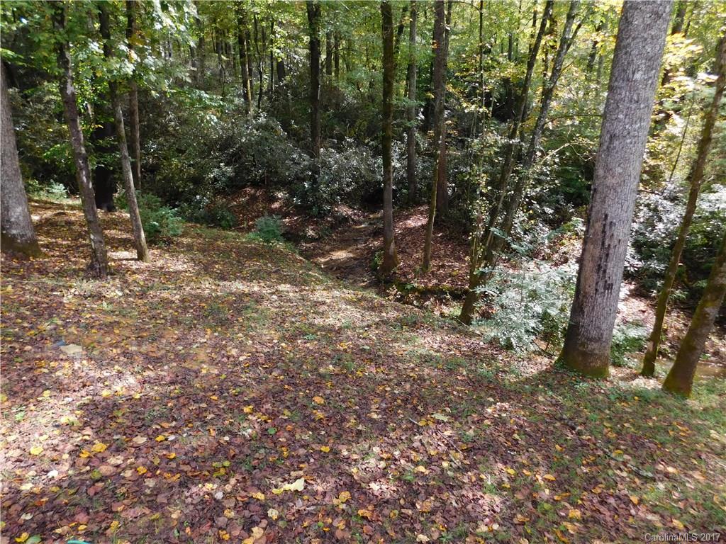 34 Middle Ridge Road Brevard, NC 28712 - Photo 7 of 15 Gallery Image 7