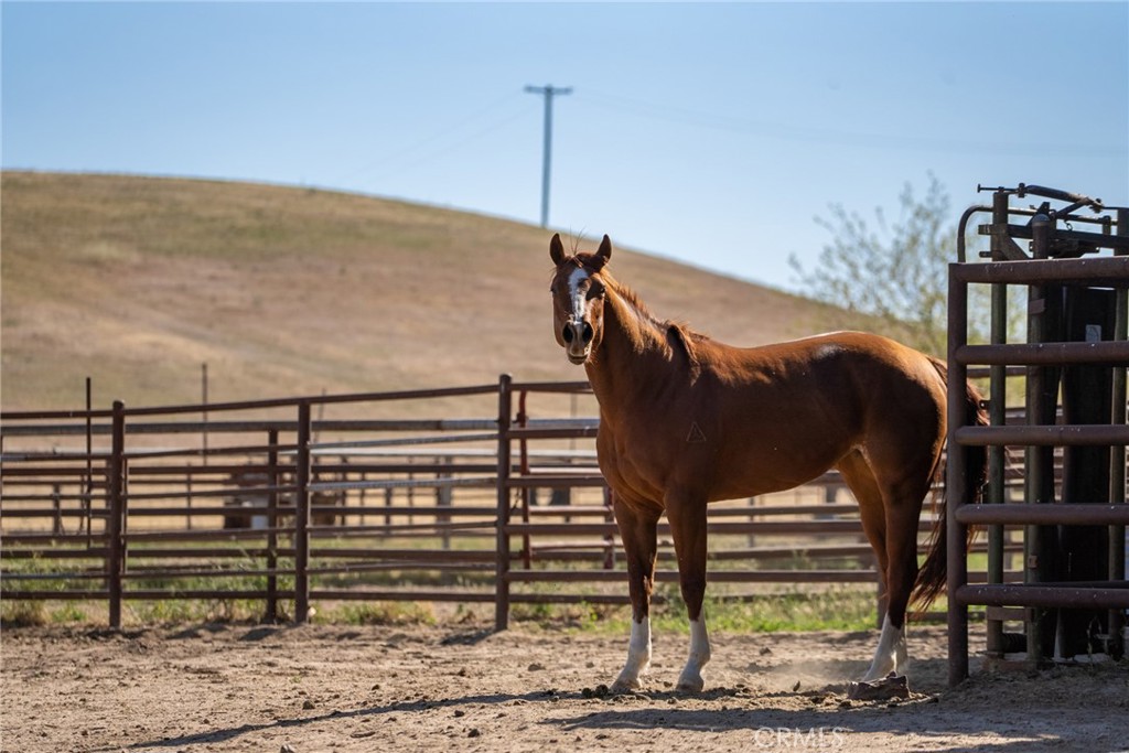 2500 Shandon Shandon, CA 93461 - Photo 13 of 40 a view of a terrace with wooden fence