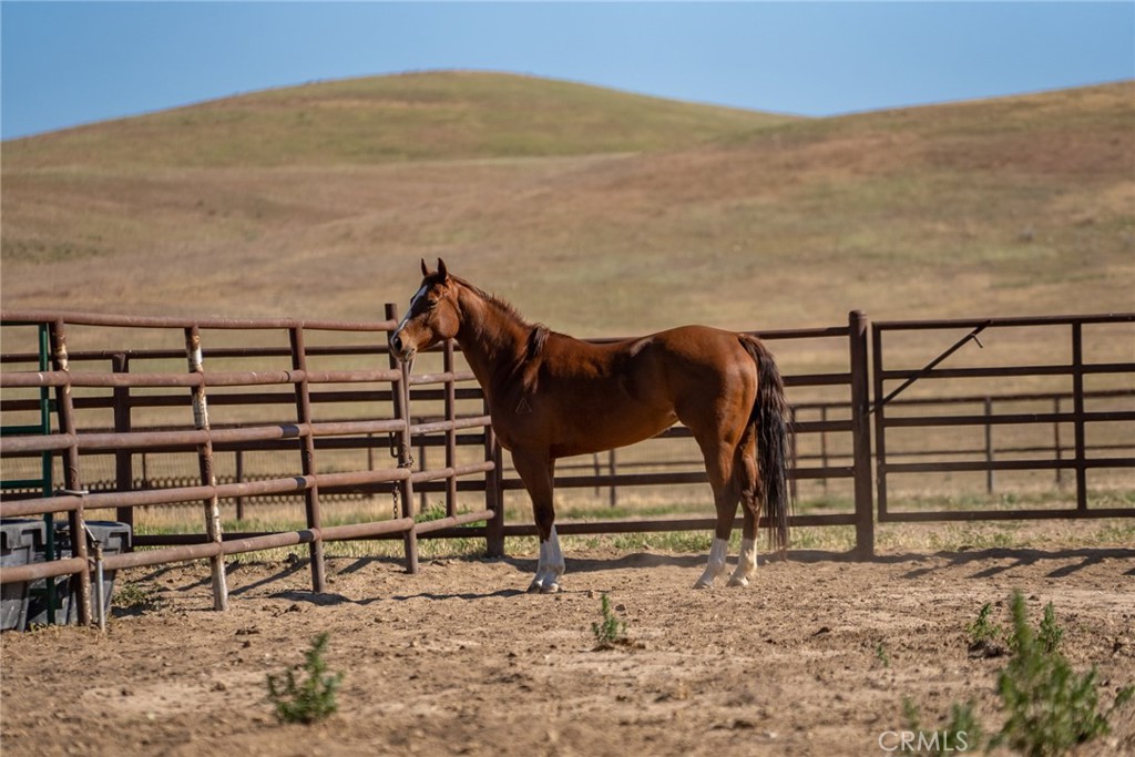 2500 Shandon Shandon, CA 93461 - Photo 14 of 40 a view of a yard with wooden fence