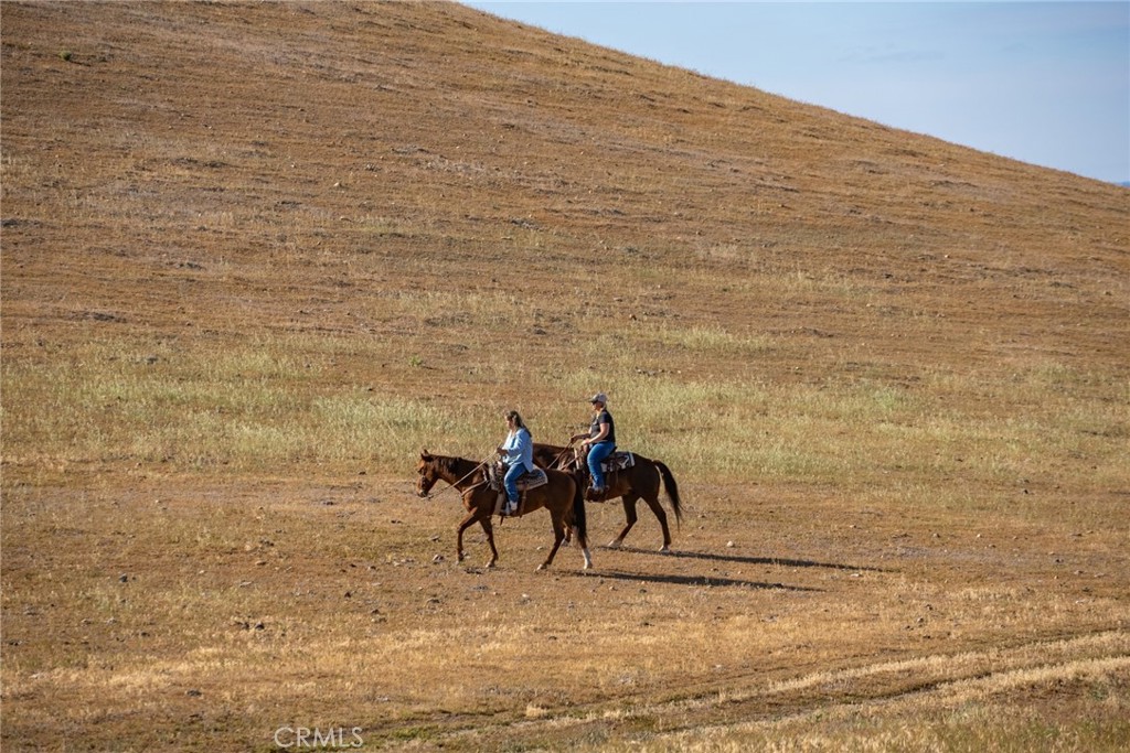 2500 Shandon Shandon, CA 93461 - Photo 16 of 40 a view of wooden floor