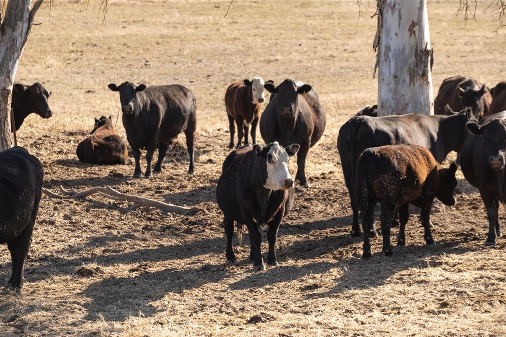 2500 Shandon Shandon, CA 93461 - Photo 19 of 40 a view of a workspace