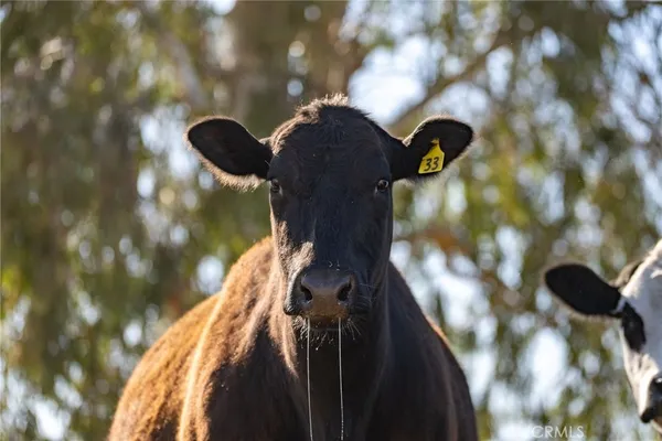 a view of a house with wooden fence