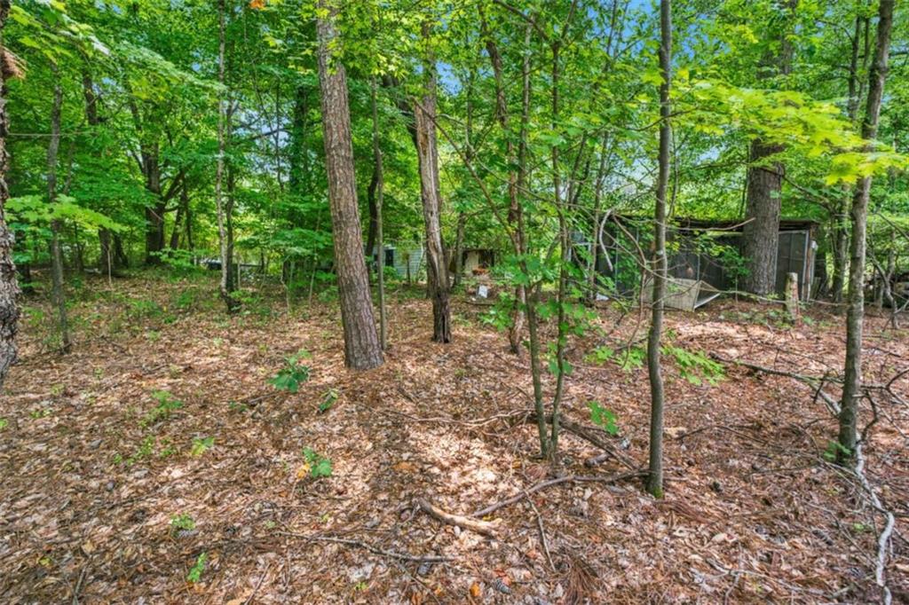 25 Lewis Barrett Boulevard Rome, GA 30161 - Photo 63 of 64