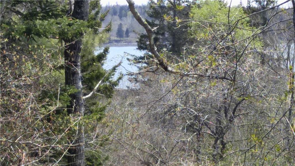 348 Hathorne Point Road Cushing, ME 04563 - Photo 28 of 31 Water view from yard.