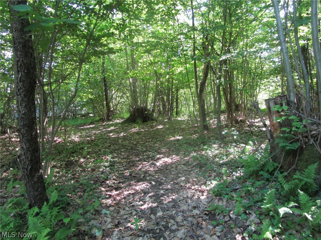 4293 Bulah Road Jefferson, OH 44047 - Photo 17 of 46