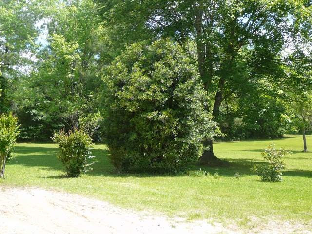 160 Clara Foote Road Florence, MS 39073 - Photo 5 of 16 Photo 5