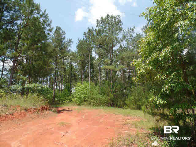500 County Road 462 Kinston, AL 36453 - Photo 22 of 25