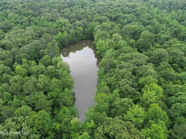 $158,235 | Gessler Road, Benton, MS 39039