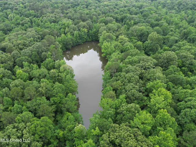 $158,235 | Gessler Road, Benton, MS 39039