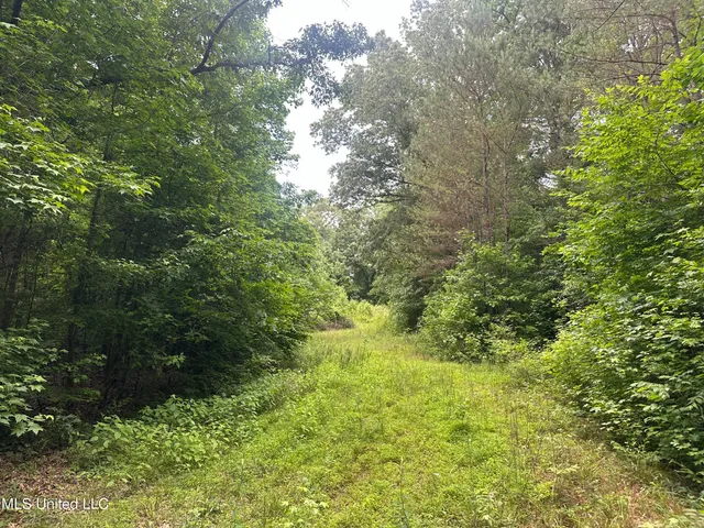$158,235 | Gessler Road, Benton, MS 39039