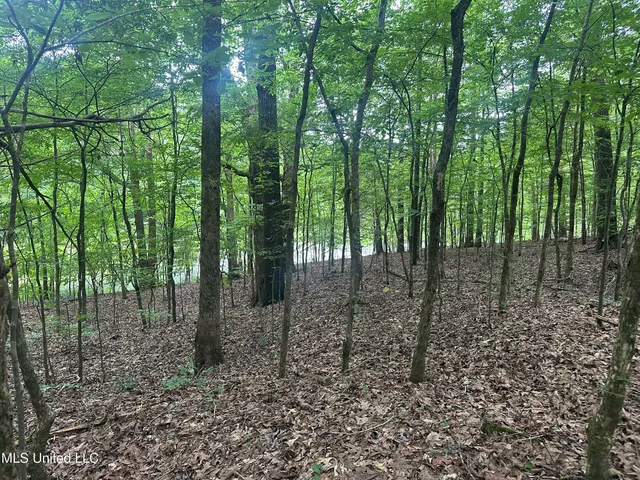 $158,235 | Gessler Road, Benton, MS 39039