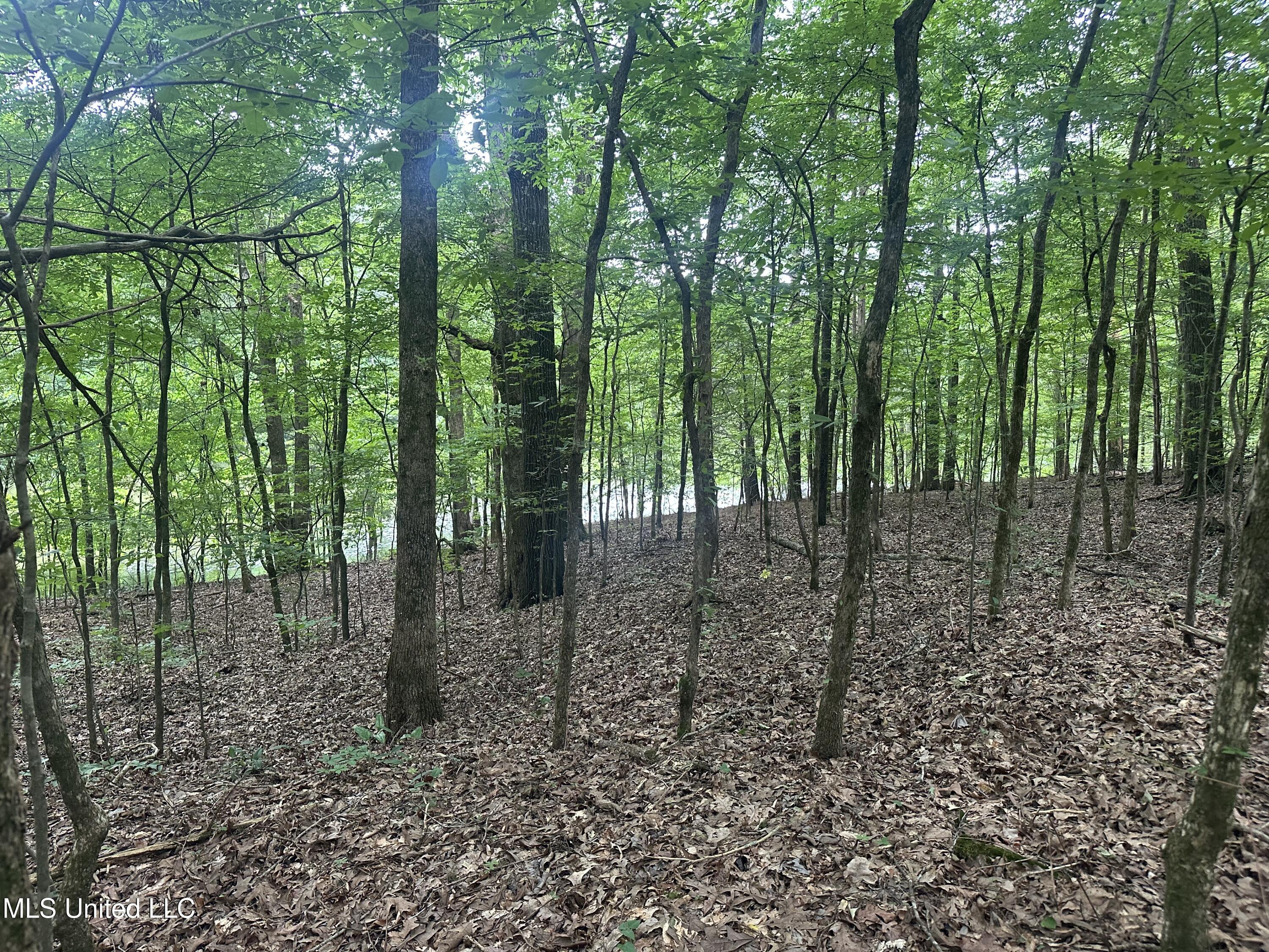 Gessler Road Benton, MS 39039 - Photo 5 of 6 Photo May 20 2025, 12 26 33 PM