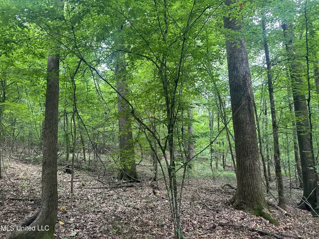 $158,235 | Gessler Road, Benton, MS 39039