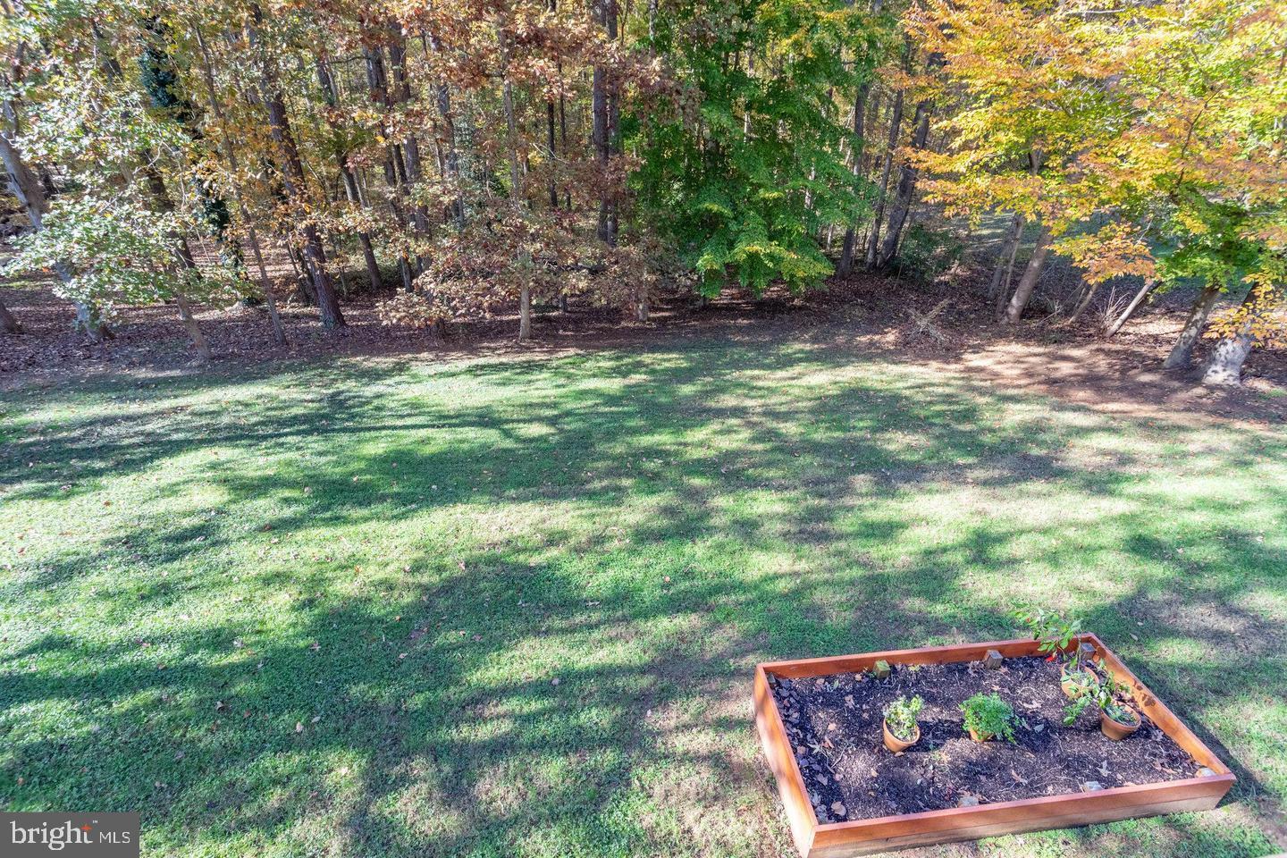 6316 Hams Ford Road Spotsylvania, VA 22551 - Photo 21 of 21 a view of a yard with a tree
