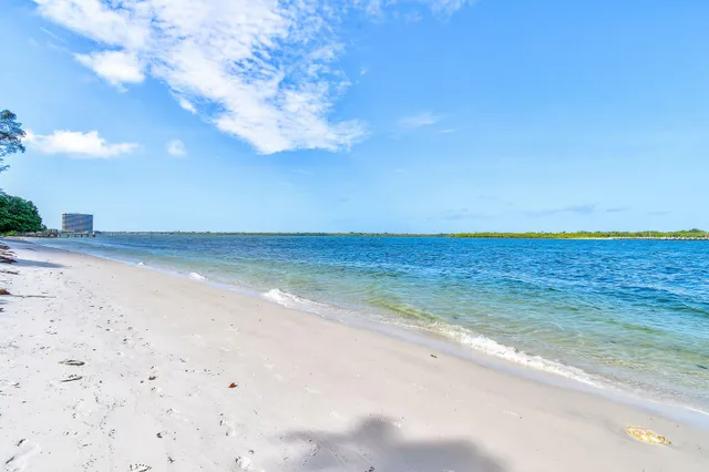 a view of a house with a yard and potted plants