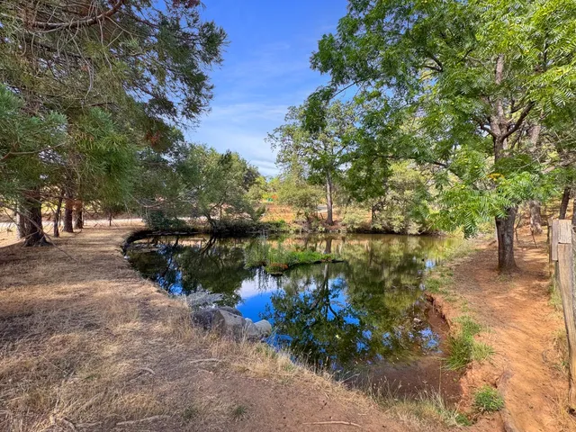a view of a swimming pool with a yard and large trees
