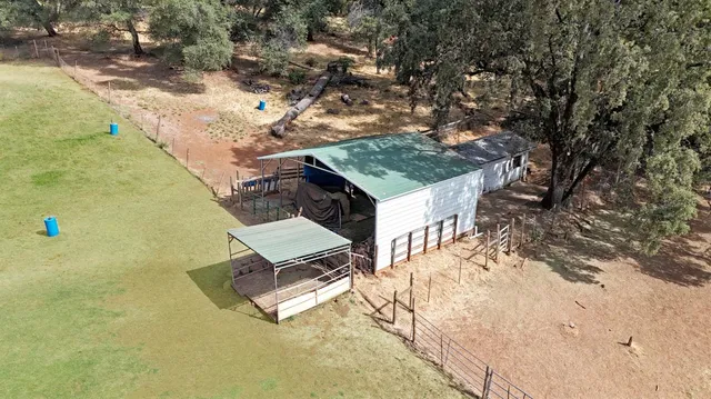 a view of outdoor space with garden and trees