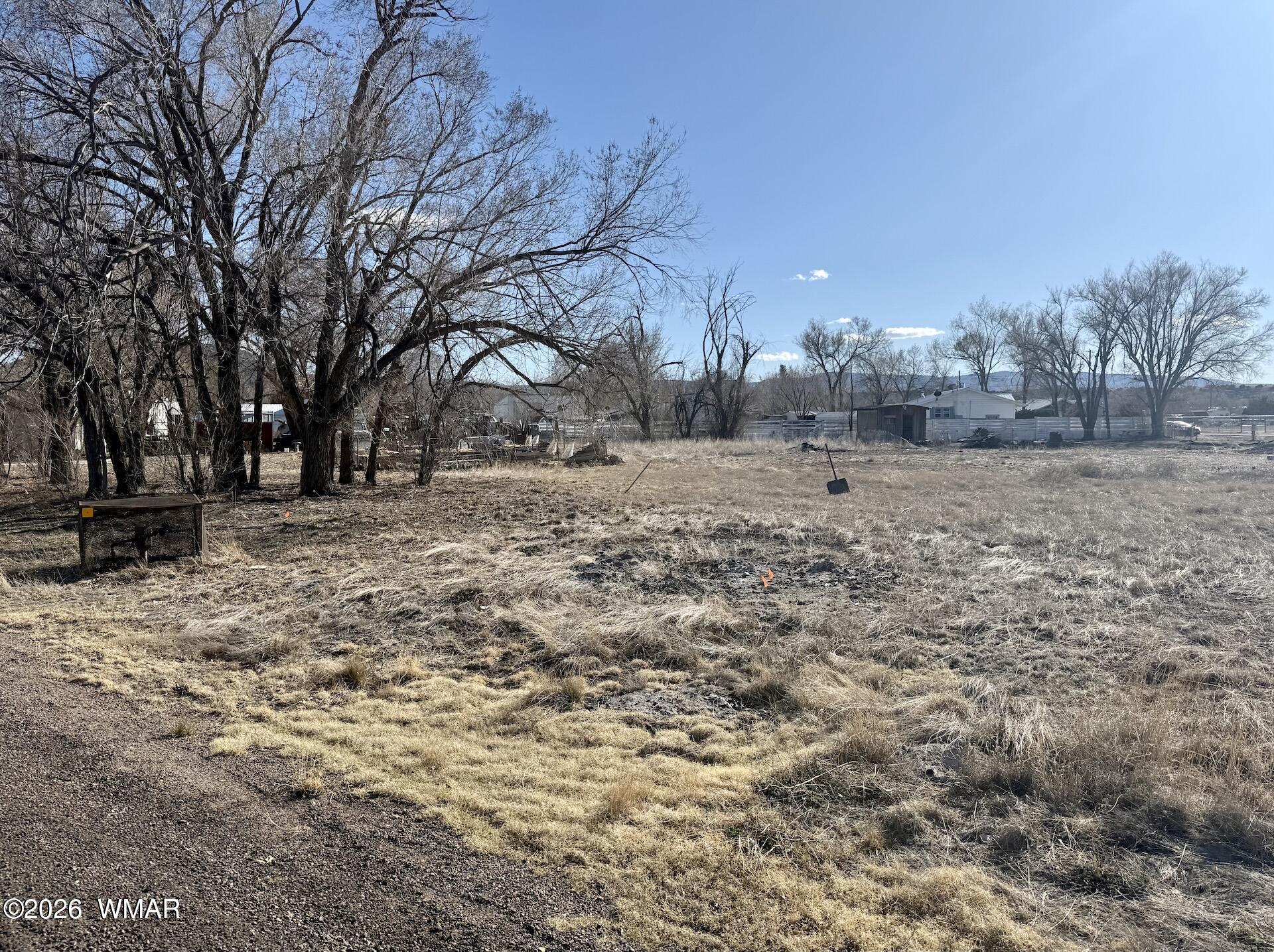 Tbd Tbd Us-180 Springerville, AZ 85938 - Photo 3 of 5 a view of dirt yard with a tree