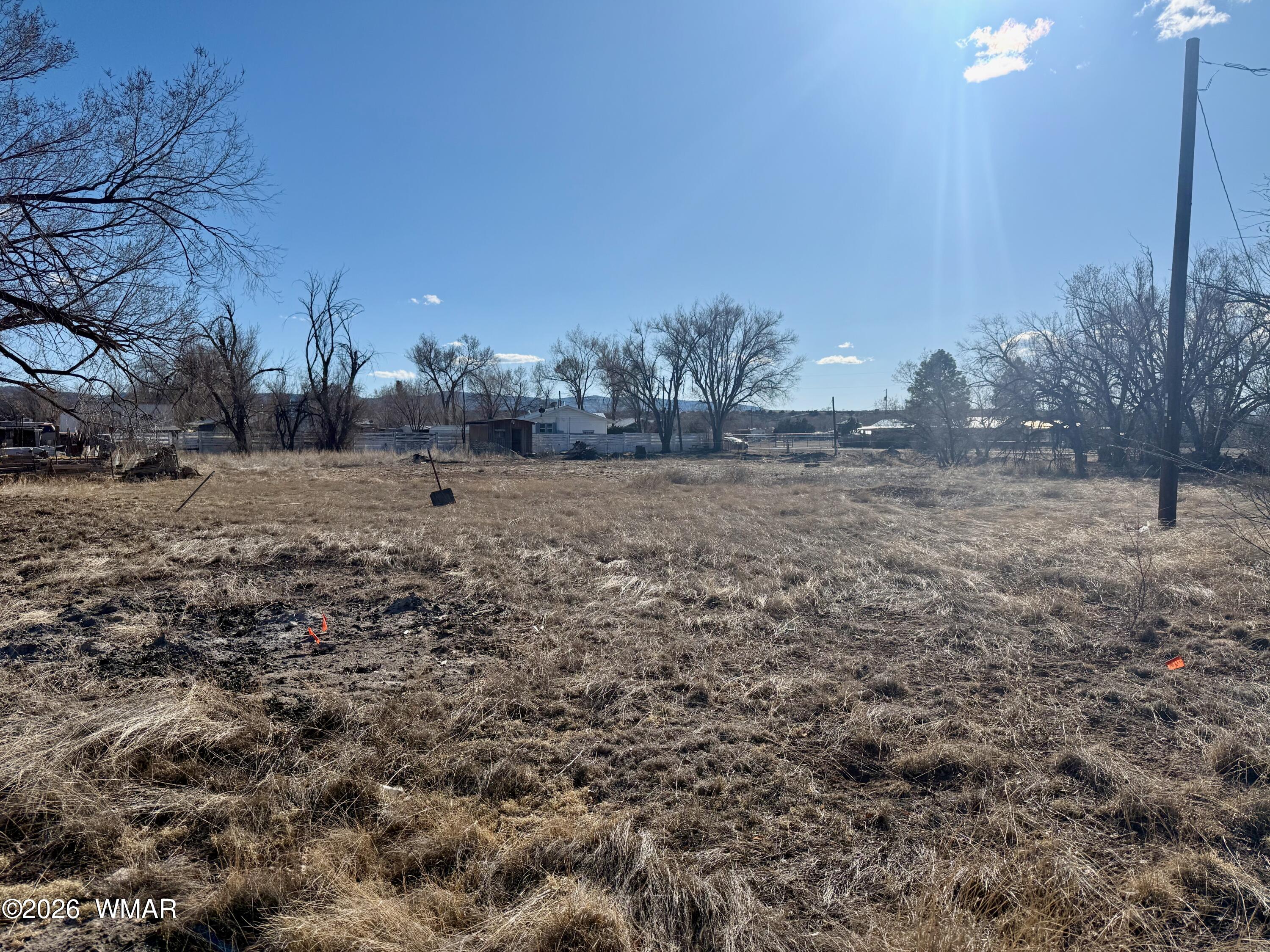Tbd Tbd Us-180 Springerville, AZ 85938 - Photo 4 of 5 a view of dirt yard with a large tree