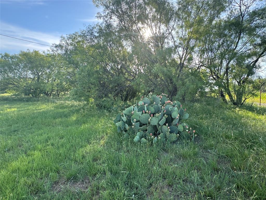 794 West Antelope Road, Unit 1 Windthorst, TX 76389 - Photo 22 of 40 a view of a lush green space