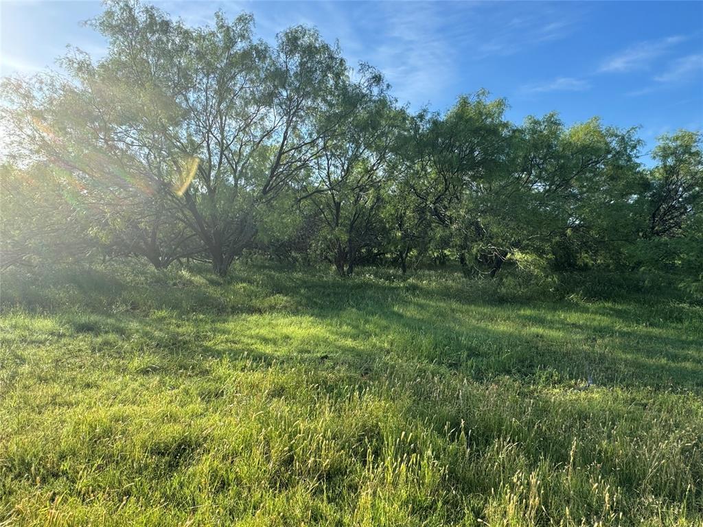 794 West Antelope Road, Unit 1 Windthorst, TX 76389 - Photo 23 of 40 a view of outdoor space and yard
