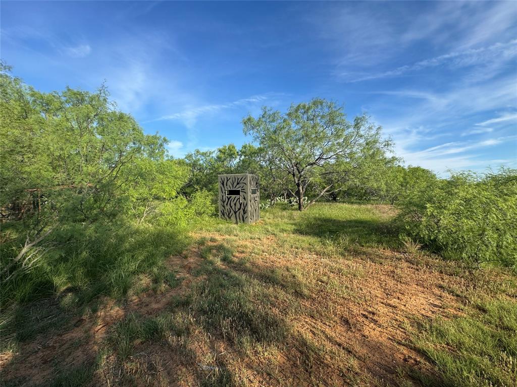 794 West Antelope Road, Unit 1 Windthorst, TX 76389 - Photo 26 of 40 a view of a garden with a lake