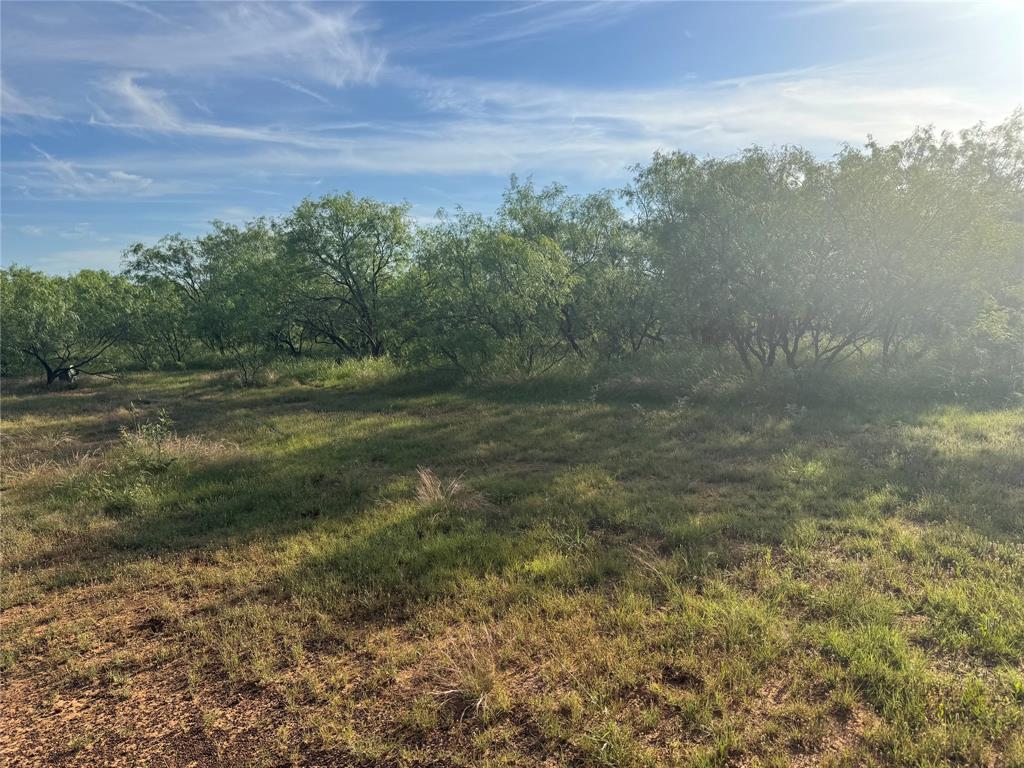 794 West Antelope Road, Unit 1 Windthorst, TX 76389 - Photo 27 of 40 a view of a yard with an trees