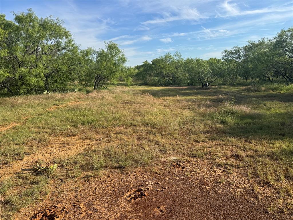 794 West Antelope Road, Unit 1 Windthorst, TX 76389 - Photo 28 of 40 a view of a field with trees in the background