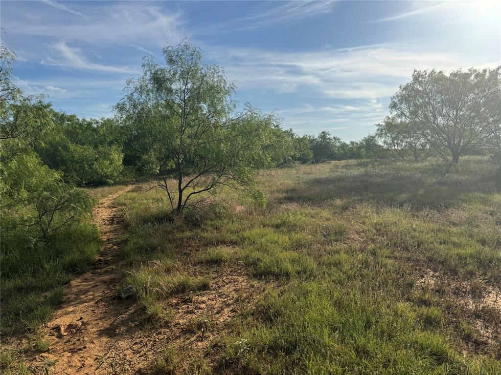 794 West Antelope Road, Unit 1 Windthorst, TX 76389 - Photo 29 of 40 a view of a forest with trees in the background