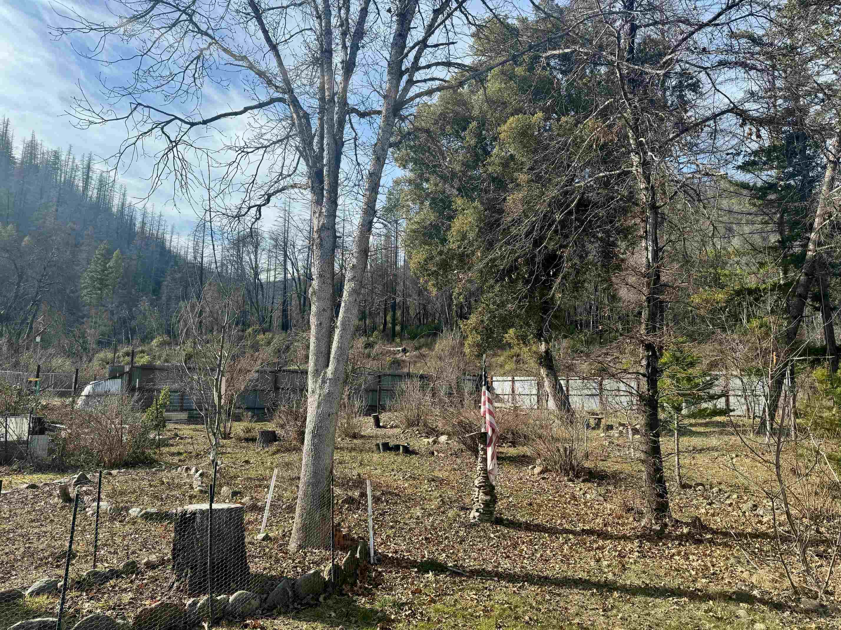 1206 Buckhorn Road Happy Camp, CA 96039 - Photo 4 of 7 Gallery Image 4