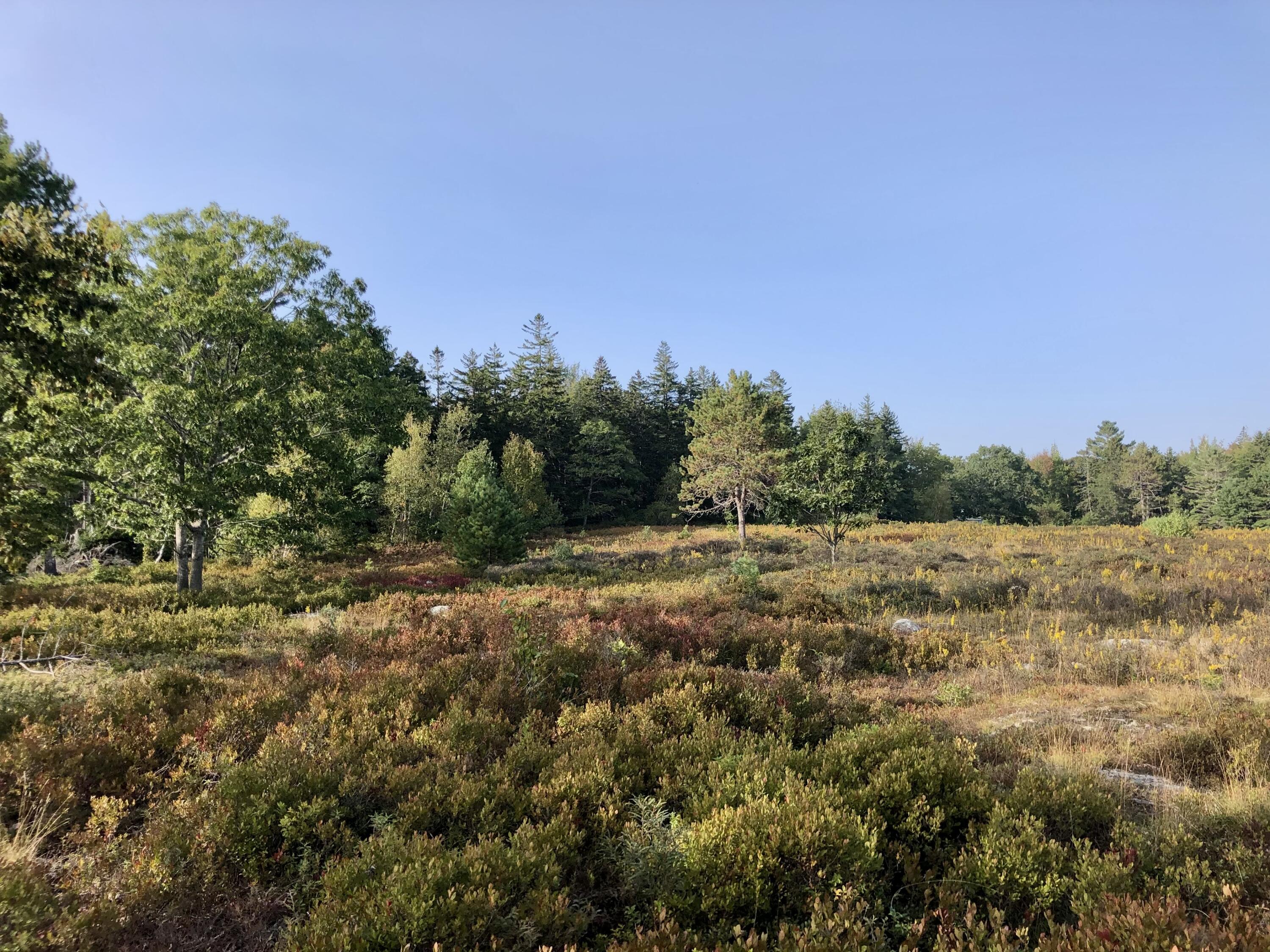 679 Reach Road Sargentville, ME 04673 - Photo 51 of 58 IMG_7170
