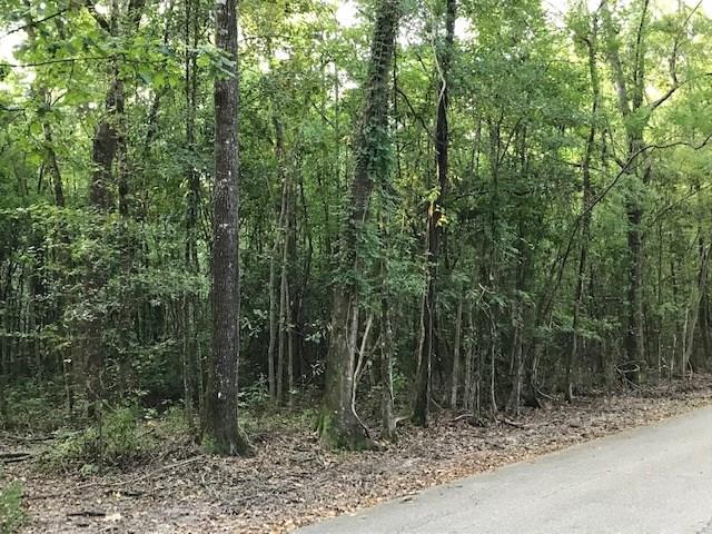 0 Wax Road Hammond, LA 70403 - Photo 2 of 5 Gallery Image 2