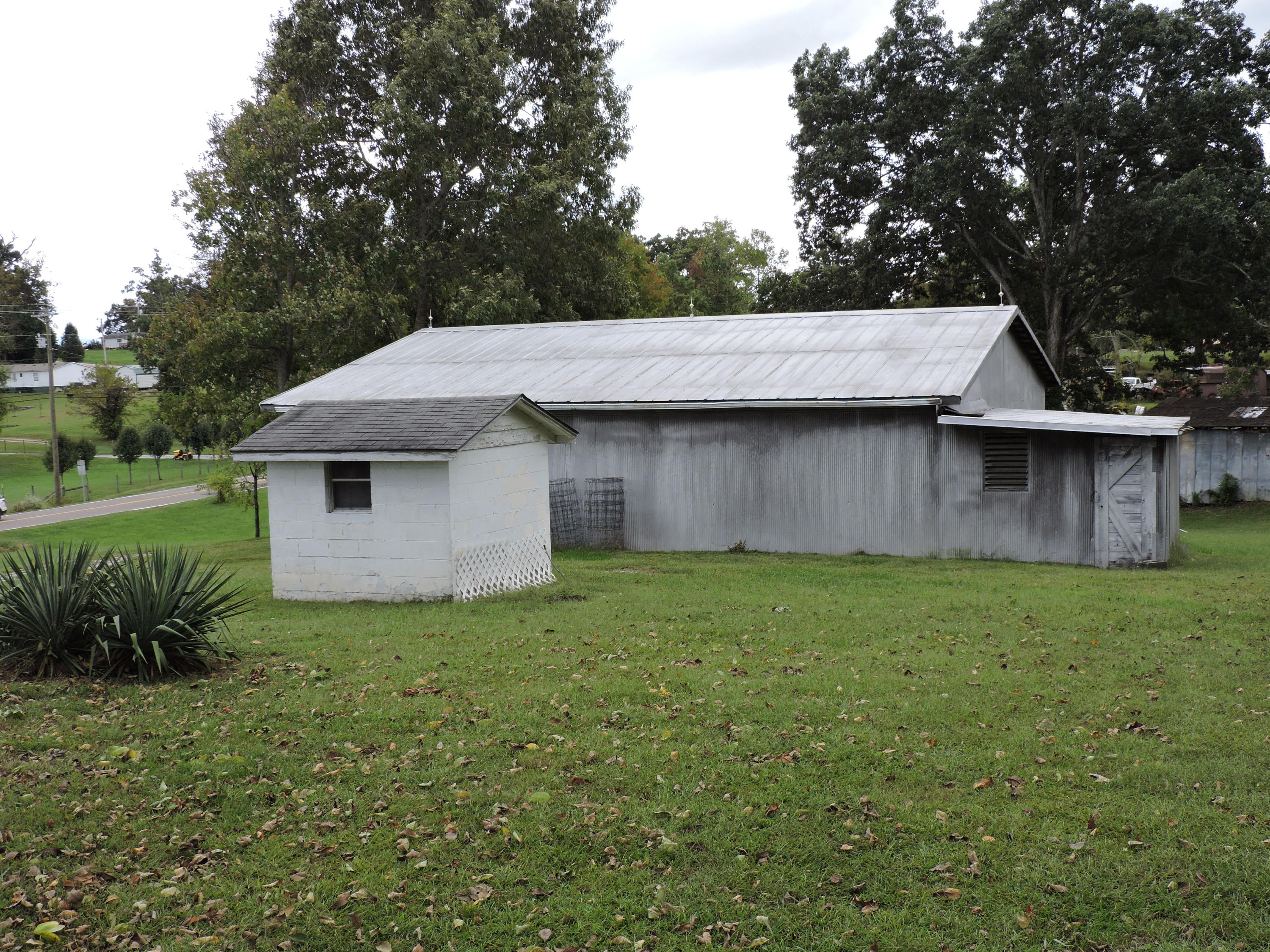 2225 Valley Home Road Talbott, TN 37877 - Photo 28 of 33 DSCN0320