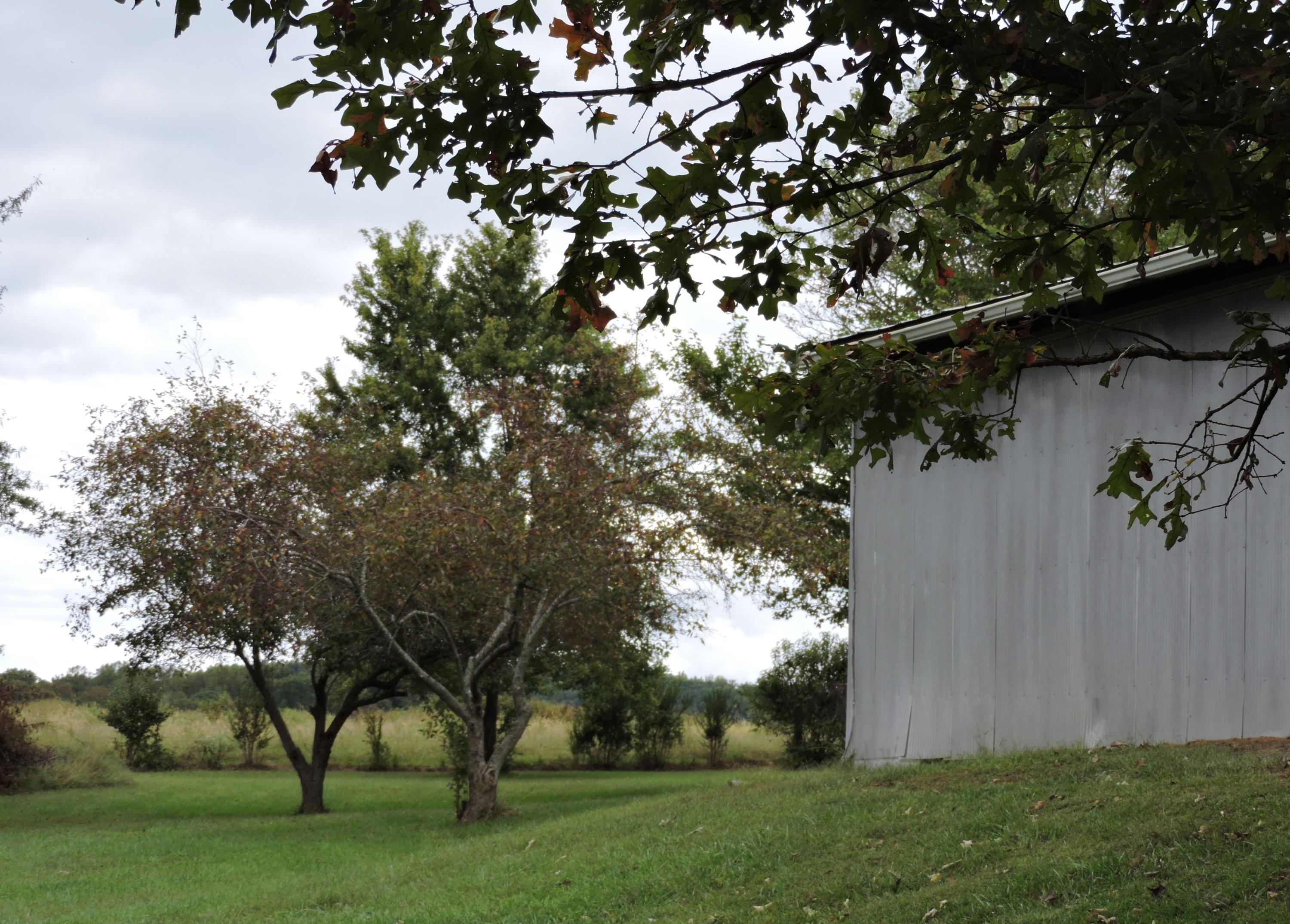 2225 Valley Home Road Talbott, TN 37877 - Photo 29 of 33 DSCN0316