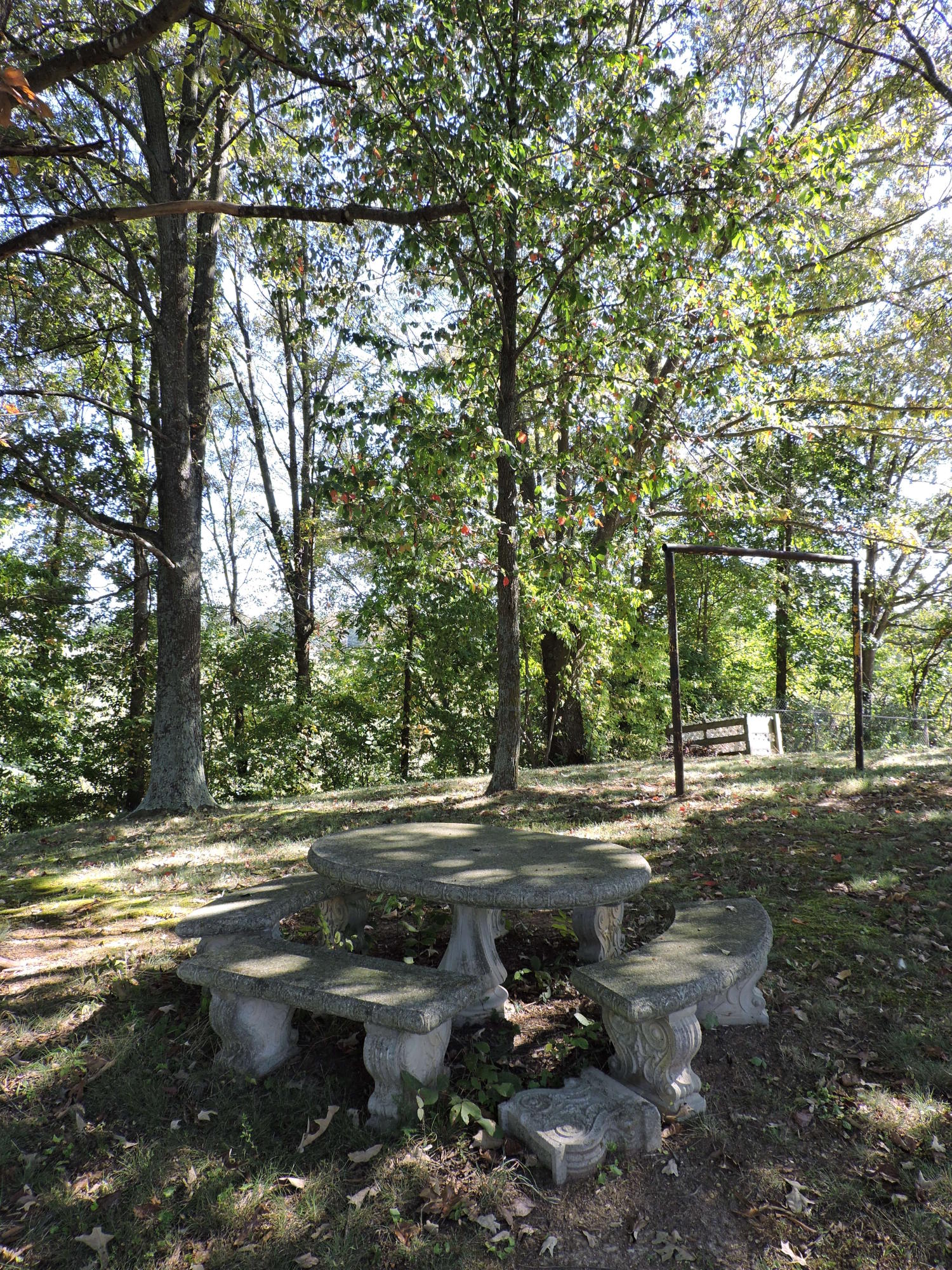 2225 Valley Home Road Talbott, TN 37877 - Photo 31 of 33 DSCN0256