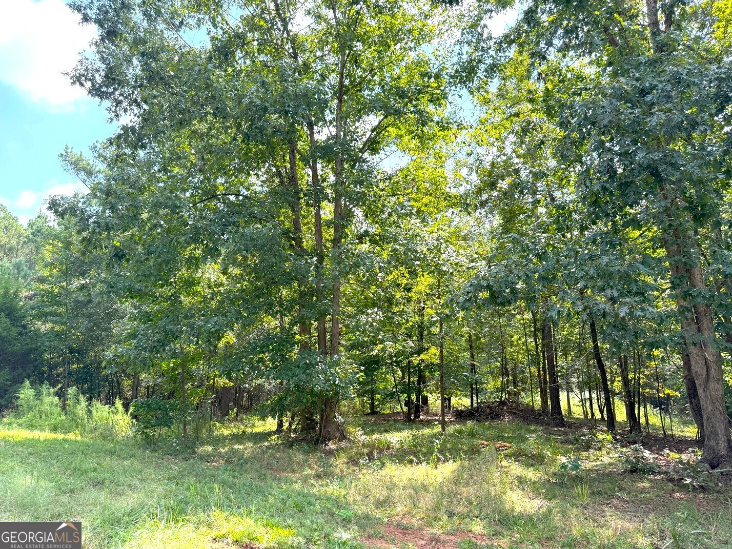 1049 Jaybird Road Elberton, GA 30635 - Photo 1 of 5