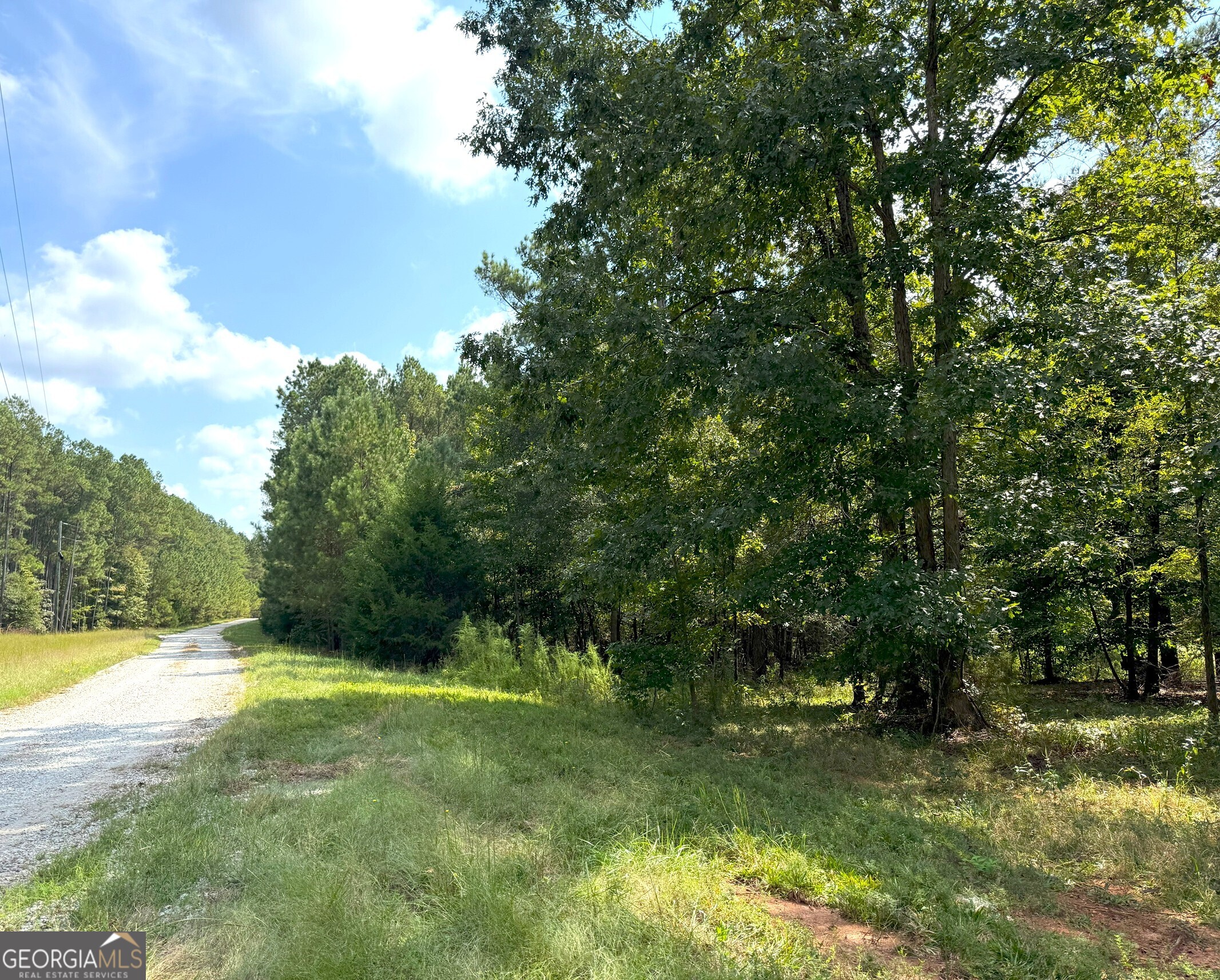 1049 Jaybird Road Elberton, GA 30635 - Photo 2 of 5