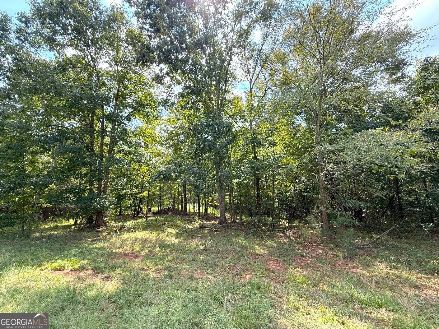 1049 Jaybird Road Elberton, GA 30635 - Photo 3 of 5